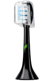 6-Month Supply for 1 User